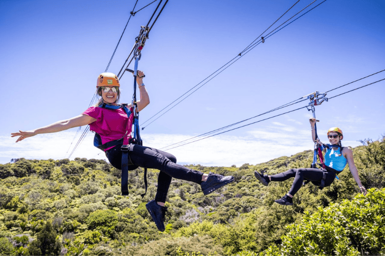 Things To Do Waiheke Island